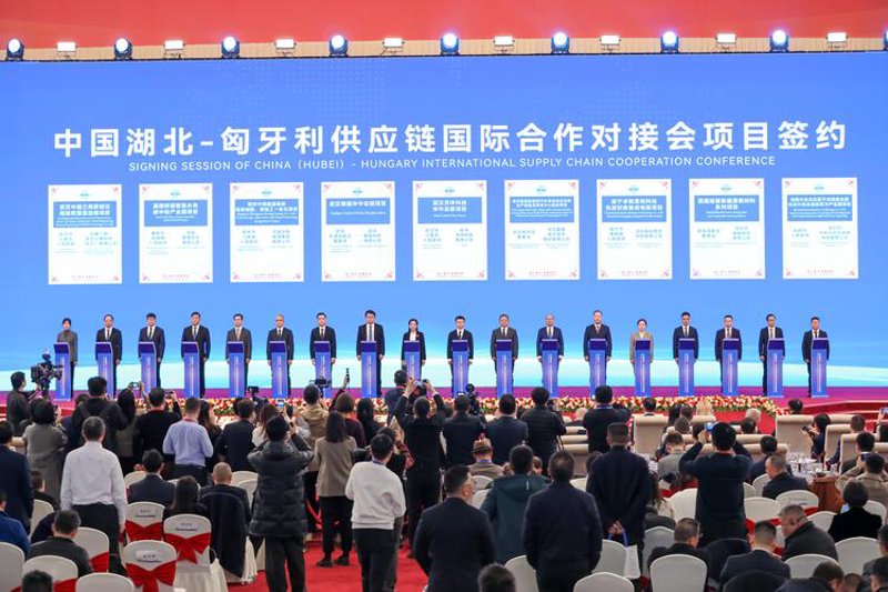 物资供应市场动态探析：应对供应链挑战